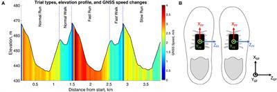 Running Speed Estimation Using Shoe-Worn Inertial Sensors: Direct Integration, Linear, and Personalized Model